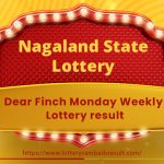 Dear Finch Monday Lottery Result