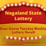 Dear Goose Tuesday Lottery 8 PM Results