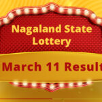 Nagaland State Lottery Result